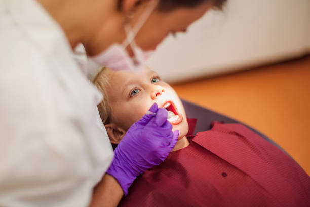 Best Knocked-Out Tooth (Avulsed Tooth) Treatment in Zephyrhills, FL